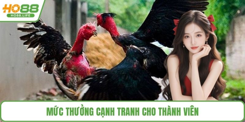 Mức thưởng cạnh tranh cho thành viên