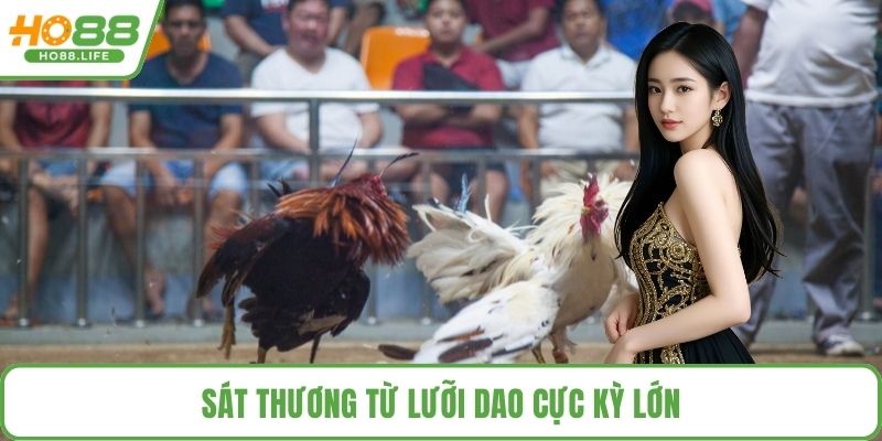 Sát thương từ lưỡi dao cực kỳ lớn