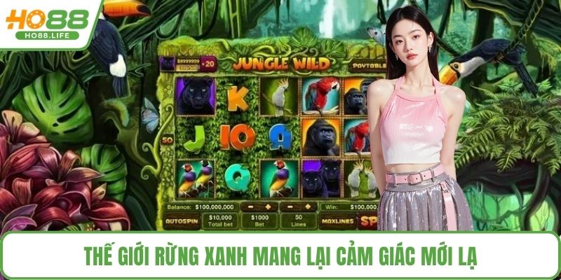 Thế giới rừng xanh mang lại cảm giác mới lạ